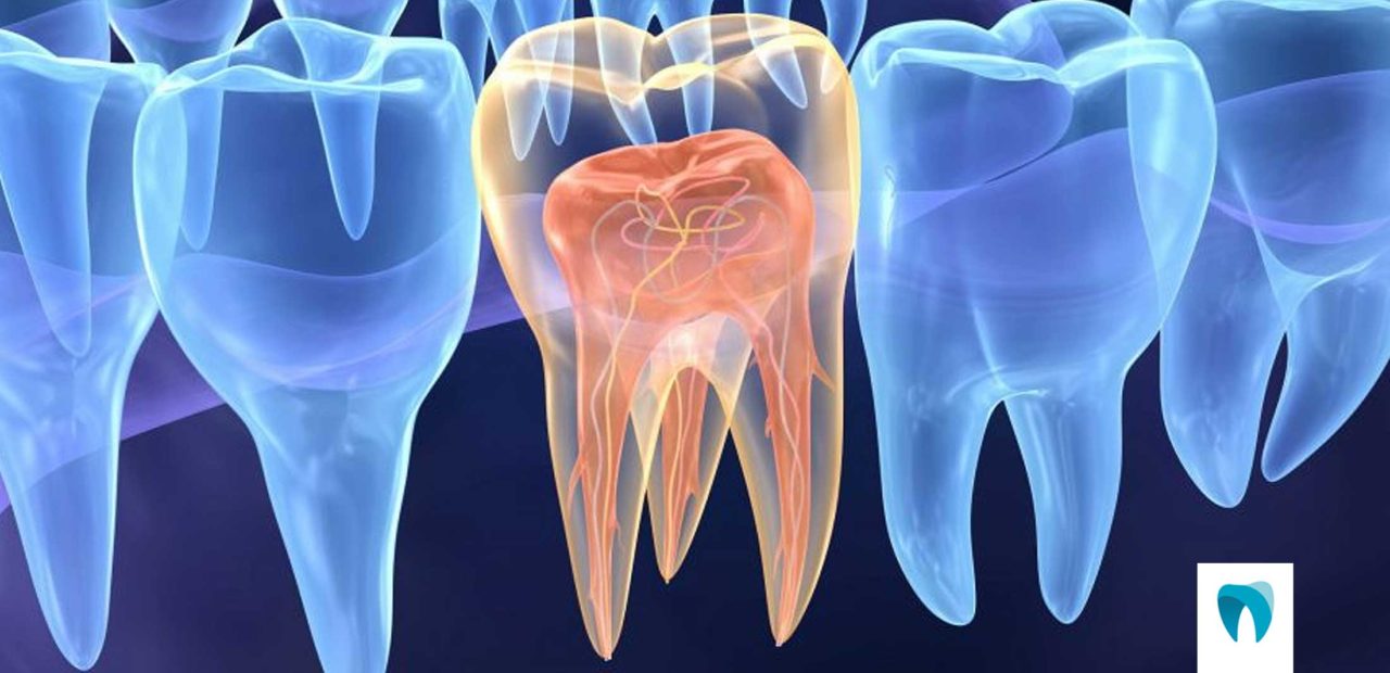 Endodontia – Ortofácil – Clínica Odontológica